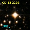 CD-53  2229