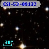 CSI-53-08132