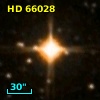HD  66028