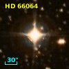 HD  66064