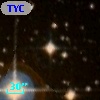 TYC 8552-1993-1
