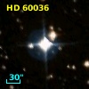 HD  60036