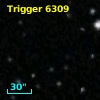 Trigger  6309