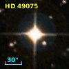 HD  49075