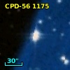 CPD-56  1175