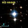 HD  44446