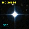 HD  36636