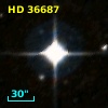 HD  36687