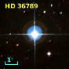HD  36789
