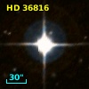HD  36816