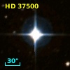 HD  37500