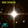 HD  37629
