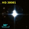 HD  38081