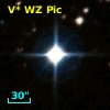 V* WZ Pic