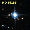 HD  36155