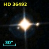 HD  36492