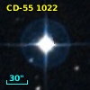 CD-55  1022