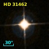 HD  31462