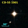 CD-55  1001
