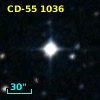 CD-55  1036