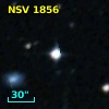 NSV  1856