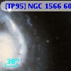 [TP95] NGC  1566  60