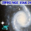 [TP95] NGC  1566 247