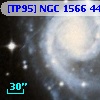 [TP95] NGC  1566 447