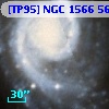 [TP95] NGC  1566 564