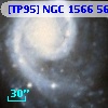 [TP95] NGC  1566 565