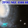[TP95] NGC  1566 607