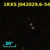 1RXS J042029.6-543156
