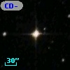 CD-55   883