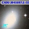 CXOU J041607.1-554610