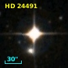 HD  24491