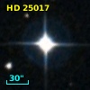 HD  25017
