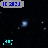 IC 2021