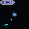 IC 2020
