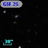 GSF  25