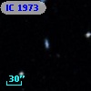 IC 1973