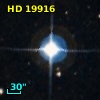 HD  19916