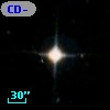 CD-50   973
