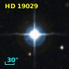 HD  19029