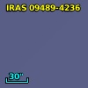 IRAS 09489-4236