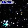 WV 255
