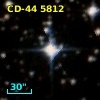 CD-44  5812