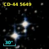 CD-44  5649