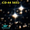 CD-44  5651