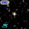 TYC 7705-1175-1