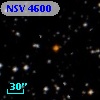 NSV  4600